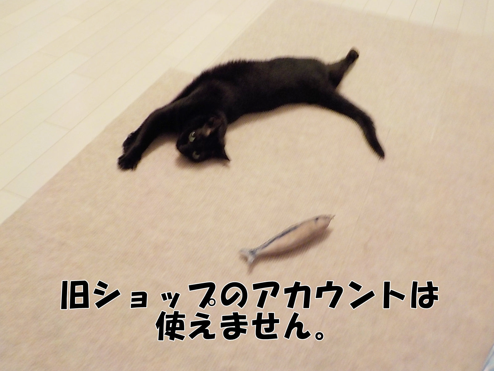 旧ショップのアカウントは使えませんので、ご注文の際は改めて入力をお願い致します。